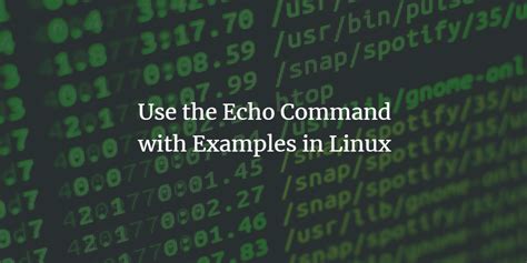 echo bdscr|How to Use the Echo Command on Linux .